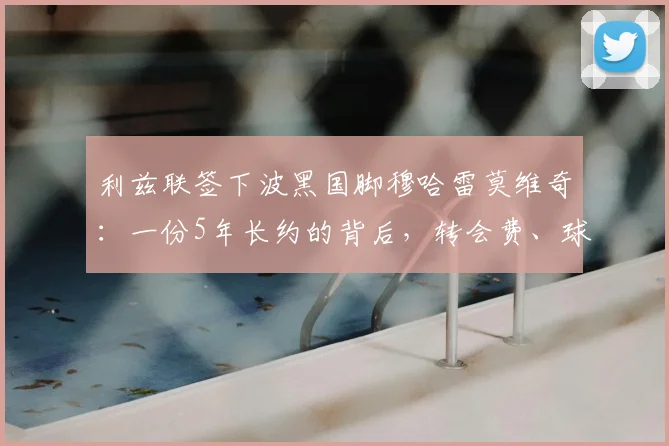 利兹联签下波黑国脚穆哈雷莫维奇：一份5年长约的背后，转会费、球衣号码及战术前景解析