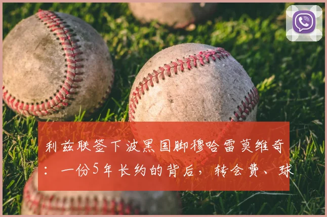 利兹联签下波黑国脚穆哈雷莫维奇:一份5年长约的背后,转会费、球衣号码及战术前景解析