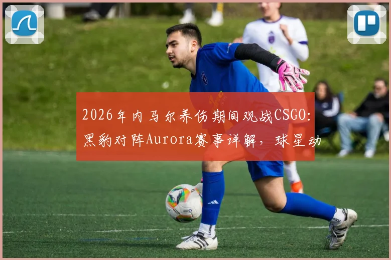 2026年内马尔养伤期间观战CSGO：黑豹对阵Aurora赛事详解，球星动态与“Bora”含义解读